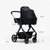 Milo2 | Black Luxe